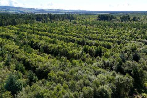 Fleet Forest