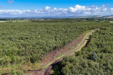 Fleet Forest