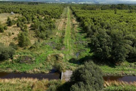 Fleet Forest