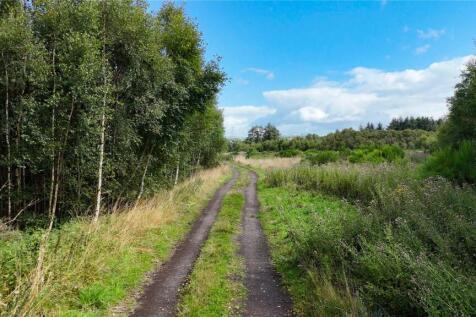 Fleet Forest