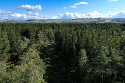 Fleet Forest