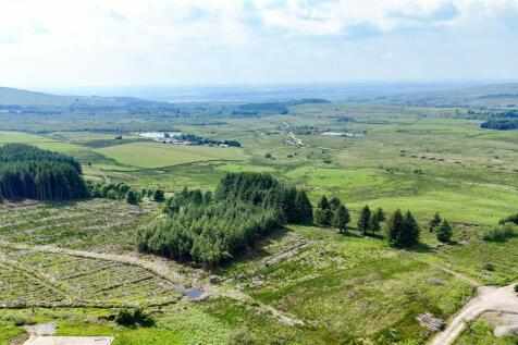 Mounded Replanting
