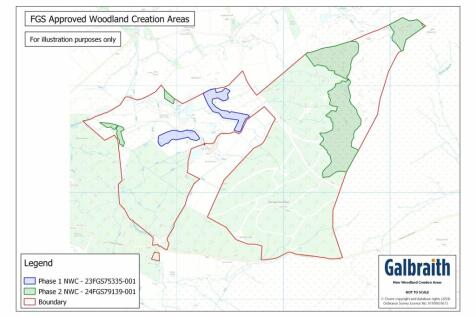 Fgs New Woodland