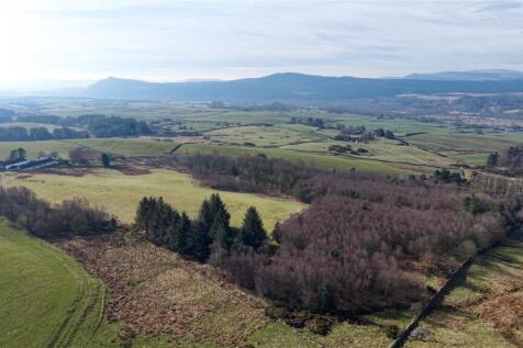 Overview