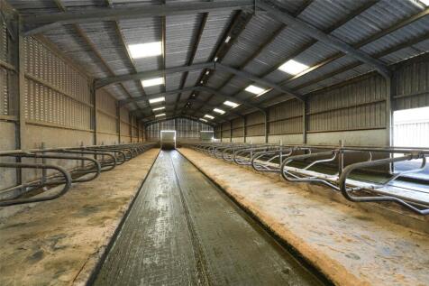 Cubicle Shed