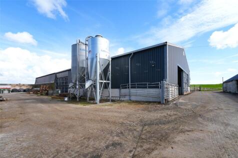 Feed Bins &amp; Shed