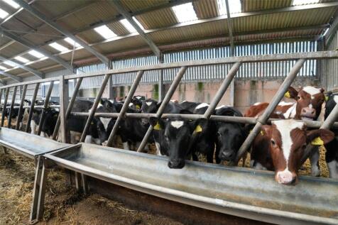 Feed Barriers