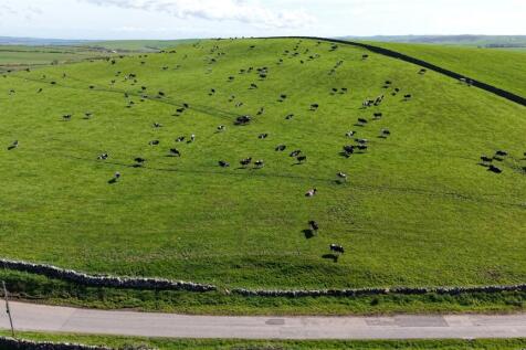 Pasture