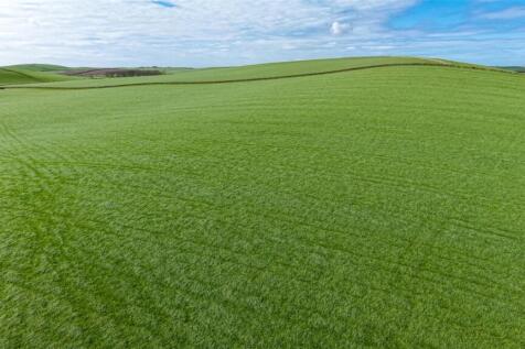 Silage