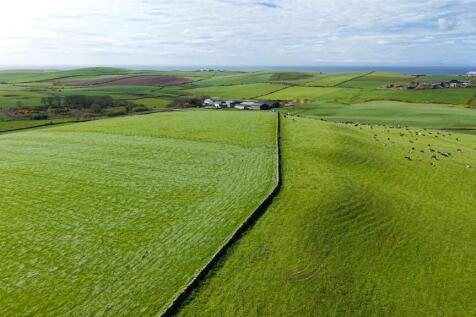 Silage