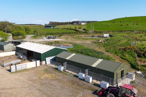 Shed and Kennels