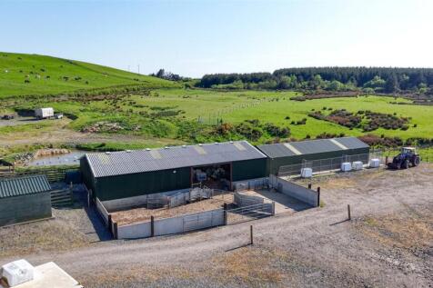 Steading