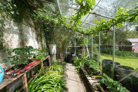 Greenhouse 2