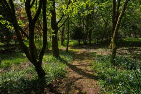 Woodland