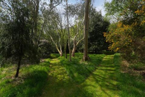 Woodland