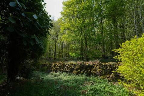 Wood Boundary
