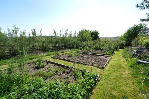 Vegetable Garden