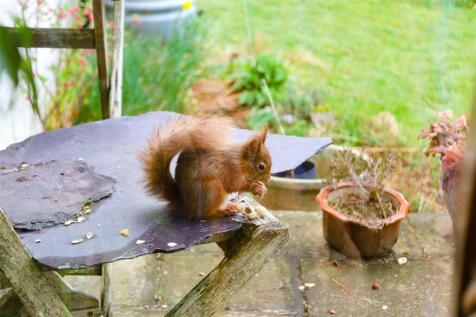 Cute Visitor!