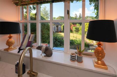 View From Kitchen