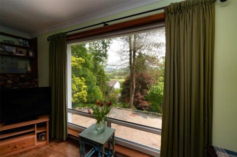Living Room View