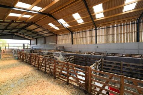 Sheep Shed