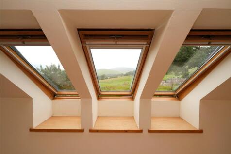 Living Room Windows