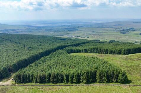 Commercial Forestry