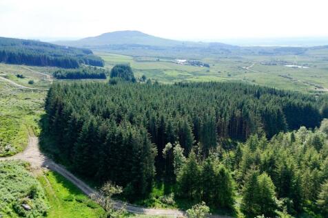 Above Craigneuk