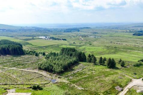 Mounded Replanting