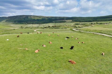 Midhill Grazing