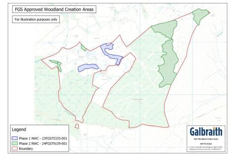 FGS New Woodland