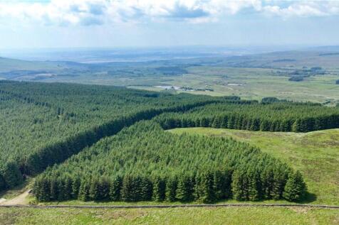 Commercial Forestry