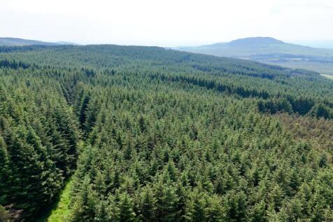 Commercial Forestry