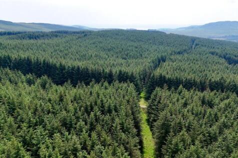 Commercial Forestry
