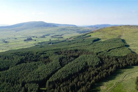 Commercial Forestry