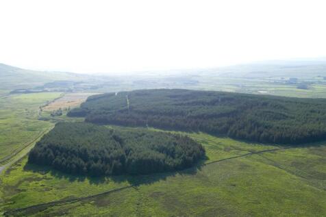 Commercial Forestry