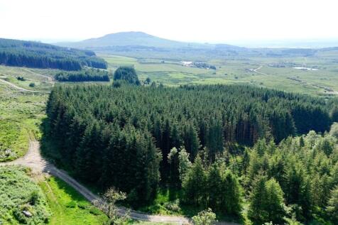 Above Craigneuk