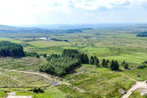 Mounded Replanting