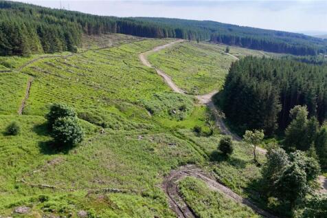 Commercial Forestry