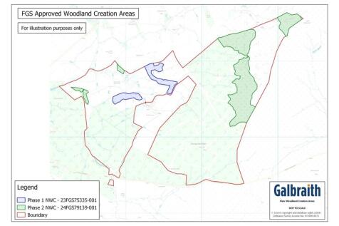 FGS New Woodland