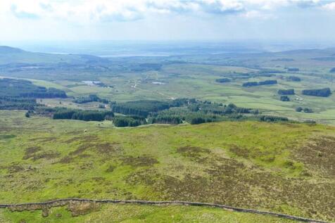 View -Craigneuk Fell