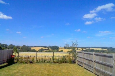 back garden