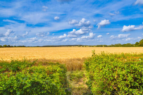DSC_0184-DSC_0186