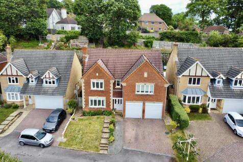 Property Image 33