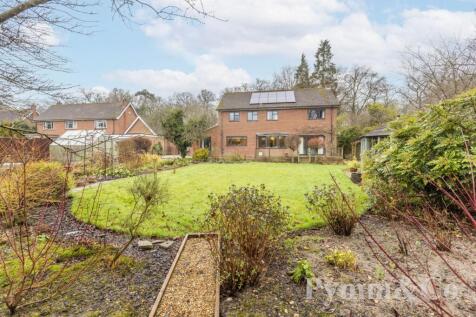 Property Image 32