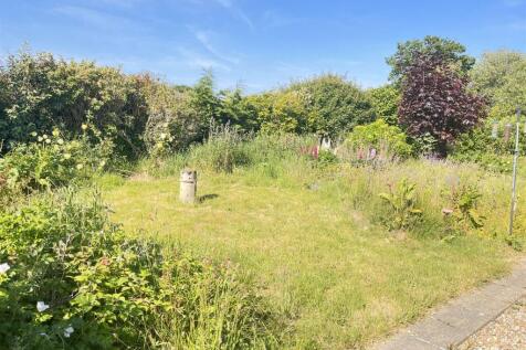 garden2.JPG