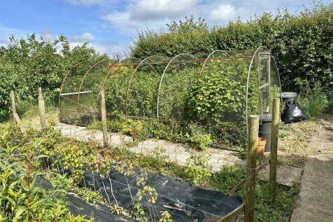 Fruit cages