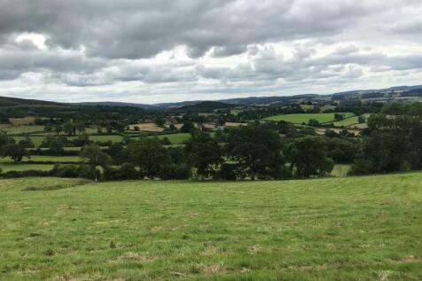 The Land