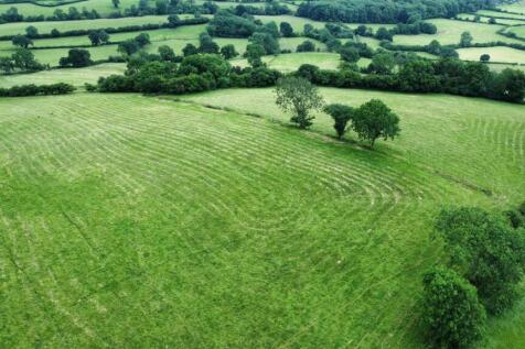The Land