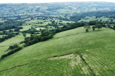 dji_fly_20240709_164004_453_1720539610656_photo_op